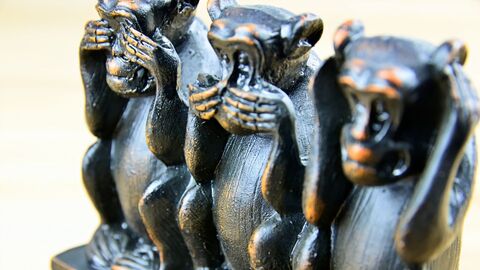 Drei Affen als Symbolbild